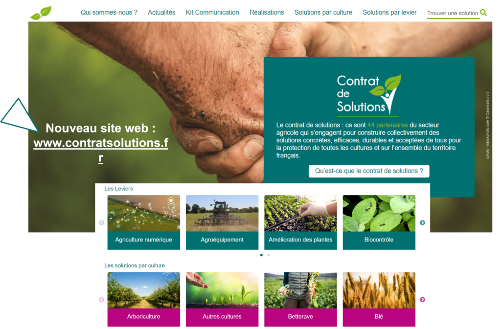 Homepage site web