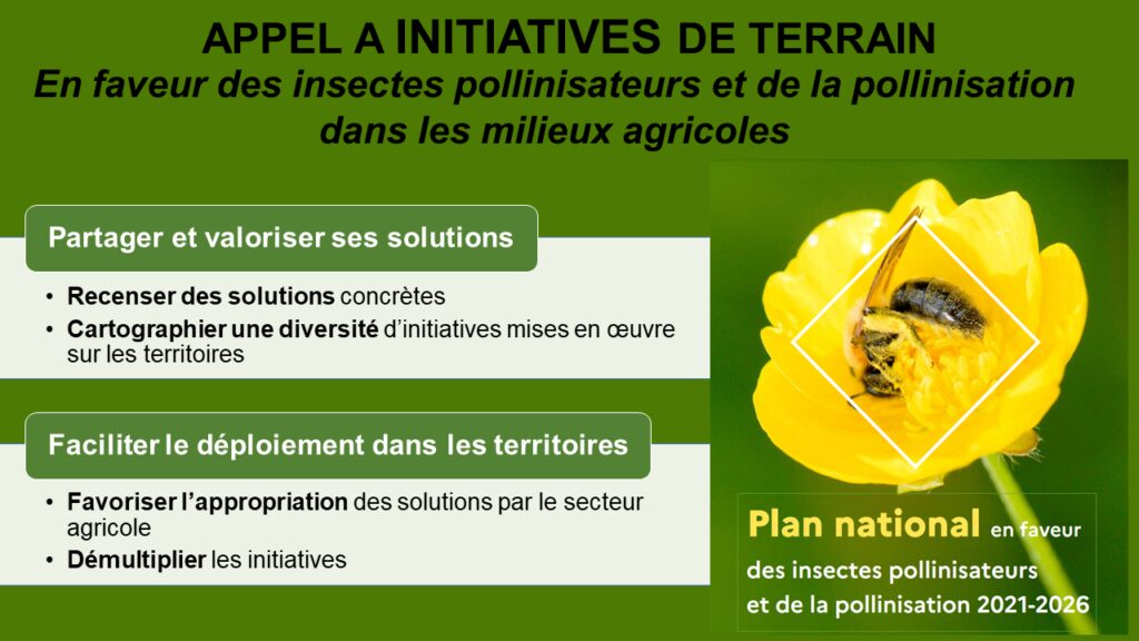 Plan pollinisateurs