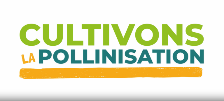 cultivons la pollinisation