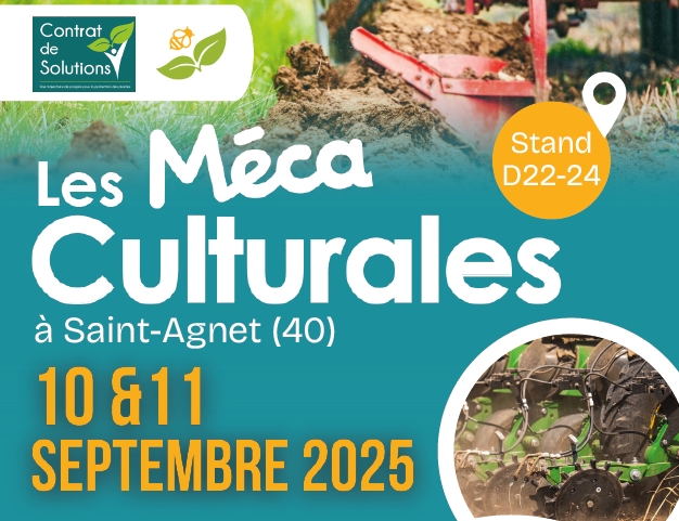 Méca culturales