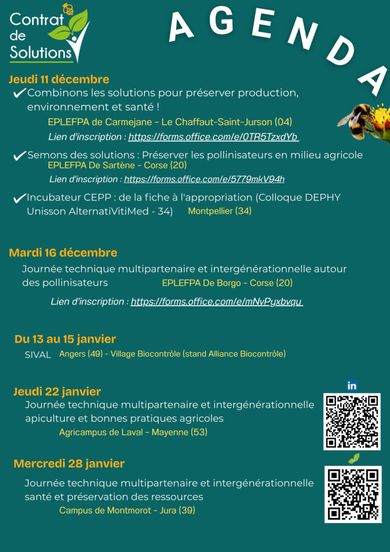 AGENDA Décembre CDS