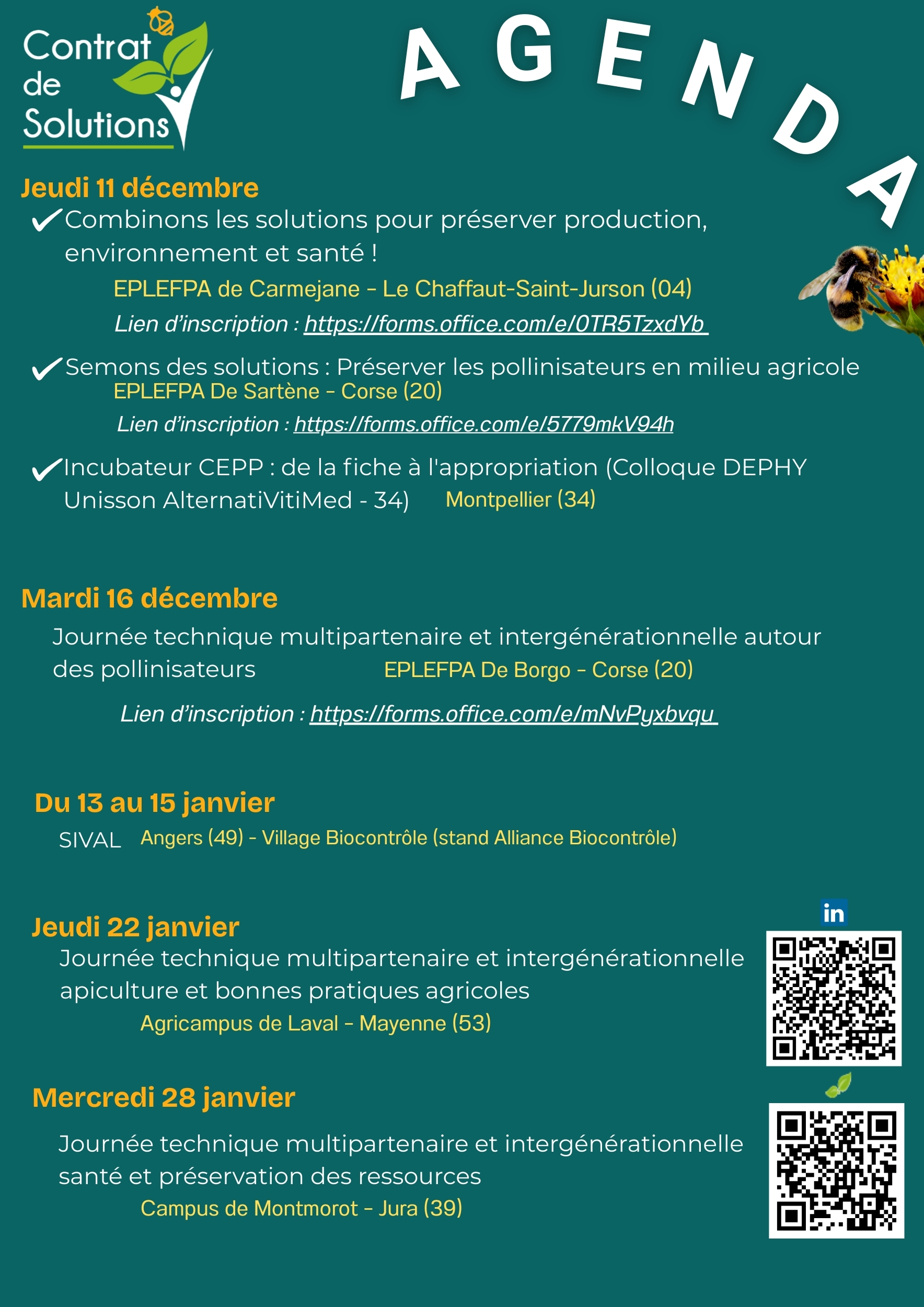AGENDA Décembre CDS