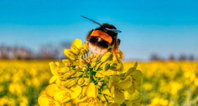 Capture d’écran 2026-01-09 091949