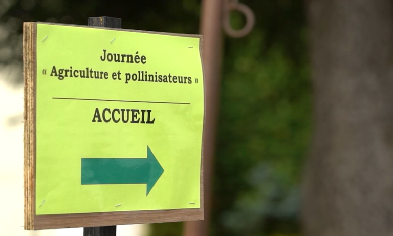 Capture d’écran 2026-03-16 133740